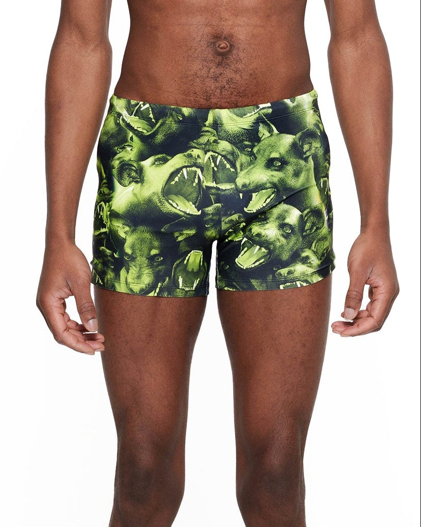 CEBERUS swim trunks