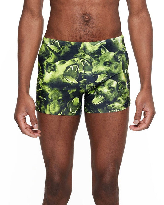 CEBERUS swim trunks